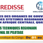 RÉUNION DU COMITE RÉGIONAL DE PILOTAGE DU PROJET DE RENFORCEMENT DES SYSTÈMES RÉGIONAUX DE SURVEILLANCE DES MALADIES EN AFRIQUE CENTRALE (REDISSE IV)